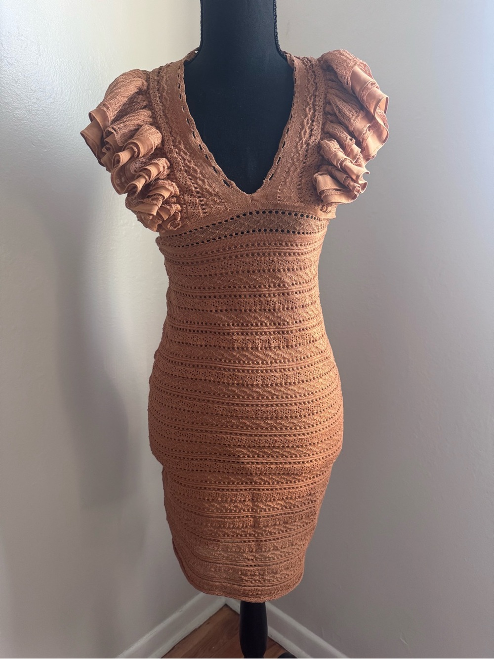 Ronny Kobo Collection Rust Crochet Knit Mini Dress with Ruffle Cap Sleeves